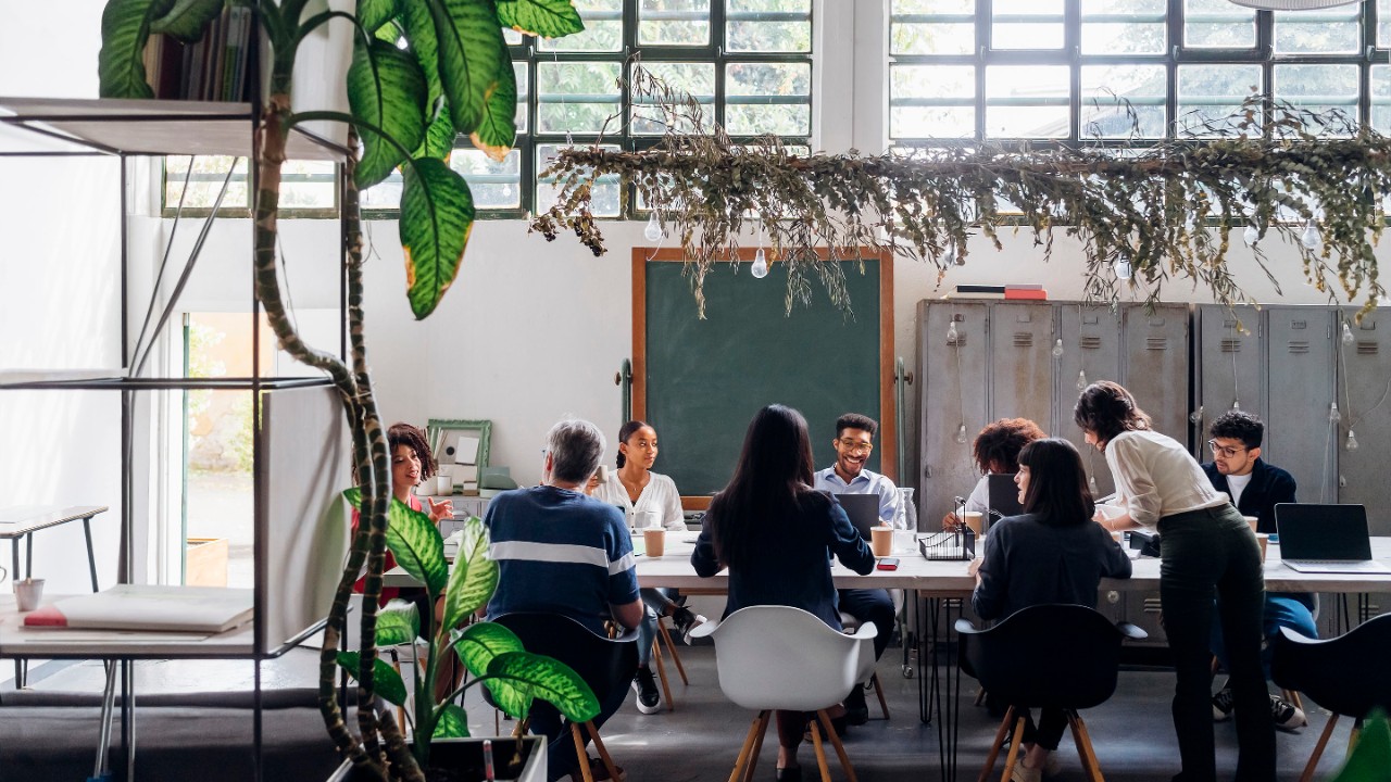 People in the office discussing alternative investment solutions 