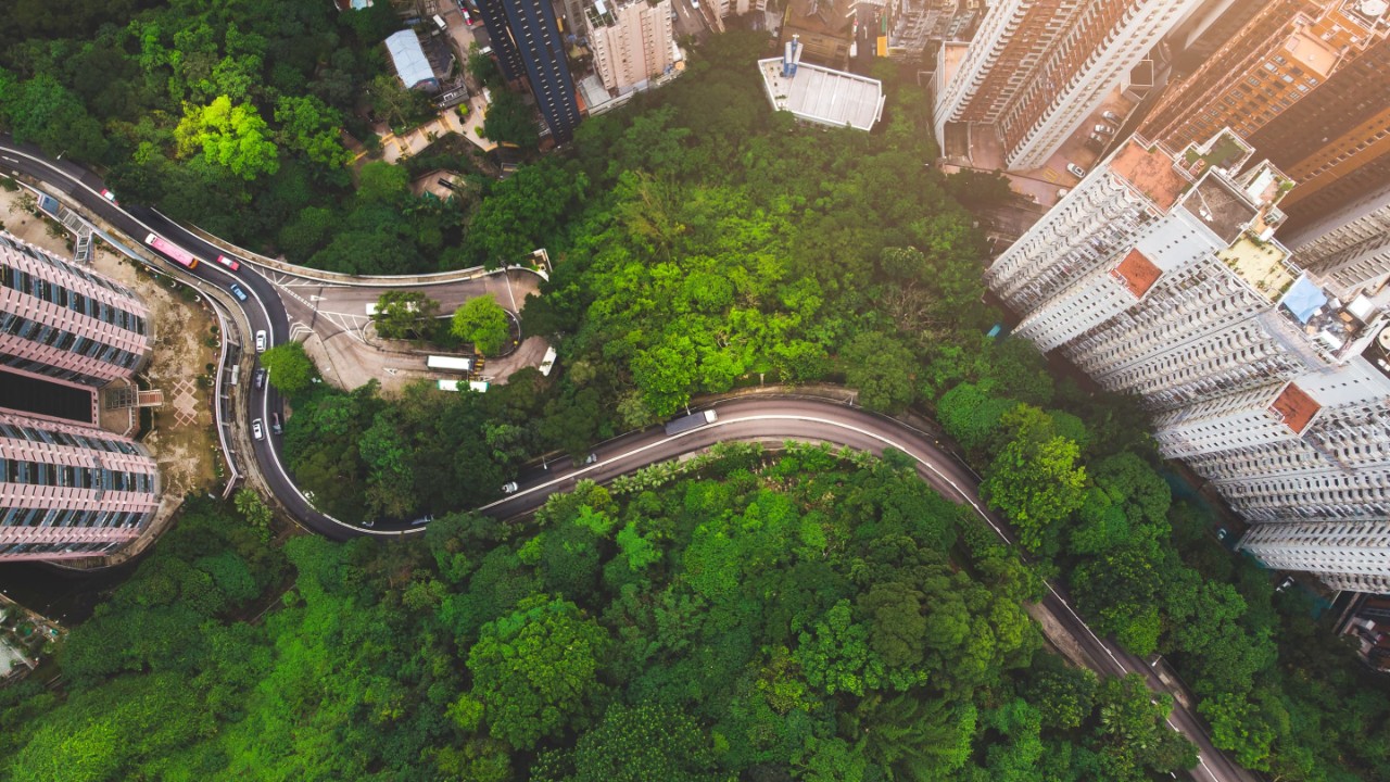 green space surrounded by sky scrapers