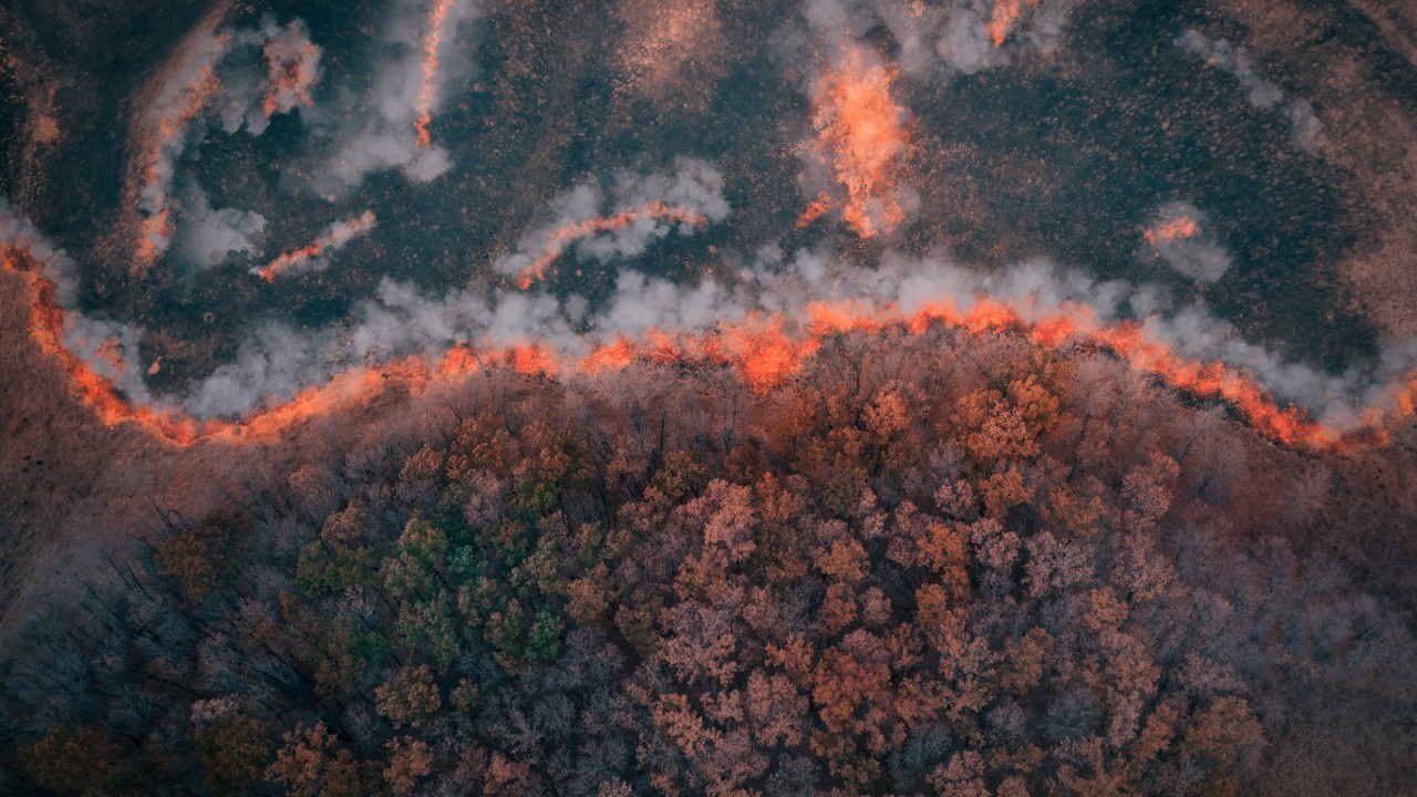 aerial view of wildfires ravaging a forest