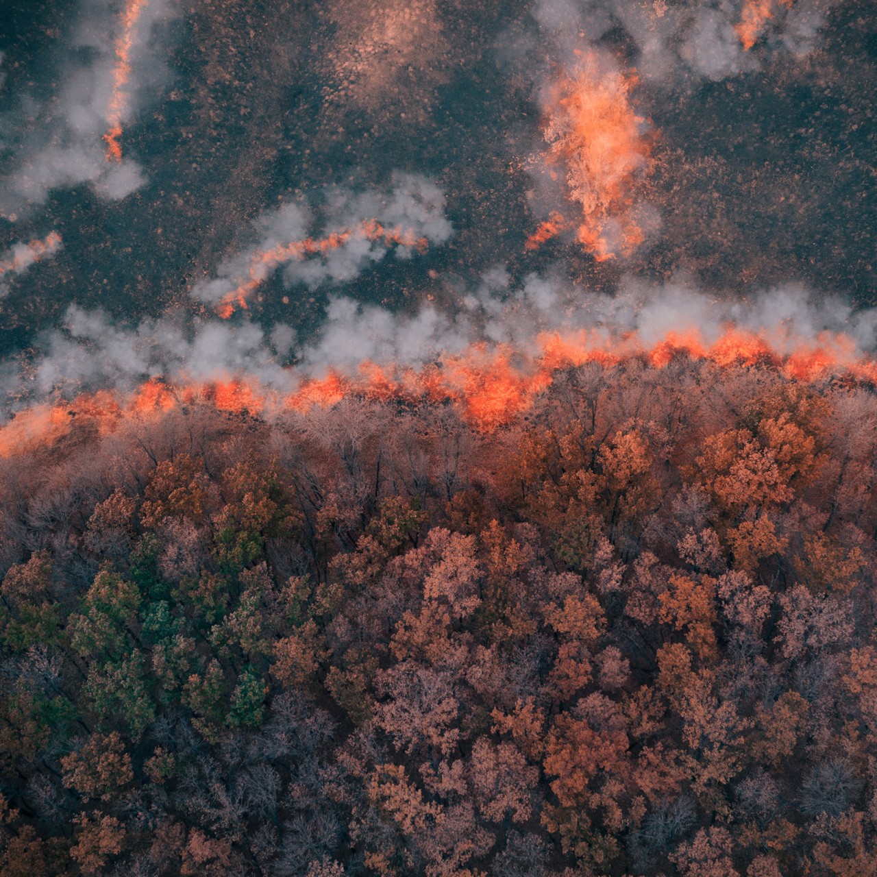 Businesswoman using digital tablet at office desk